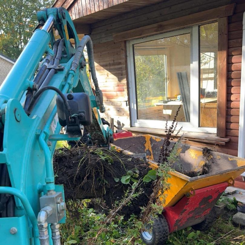 Hækklipning